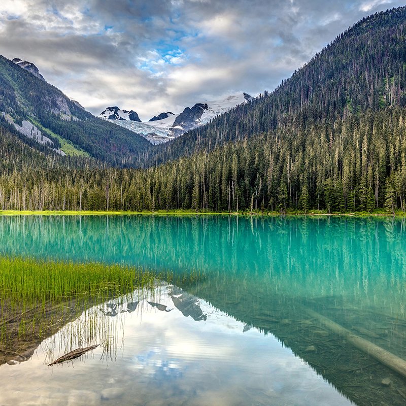 자유여행 JAU TRAVEL